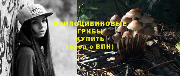 амф Навашино