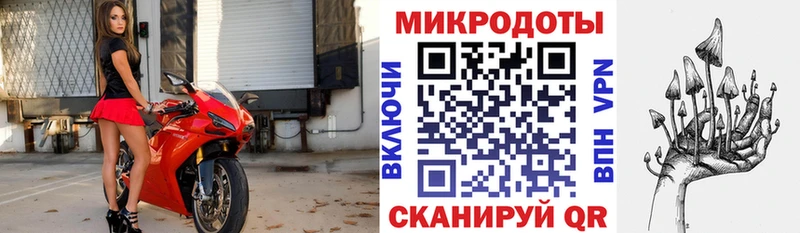 Купить  Кущёвская  Галлюциногенные грибы мицелий 
